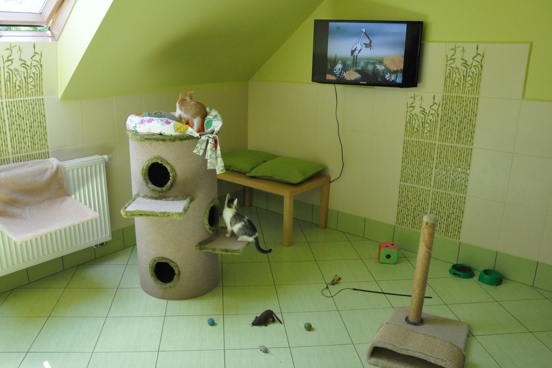 Zielony apartament dla kotow