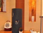Brazowy apartament w Hotelu NASZE KOTY czeka na kolejnych gosci