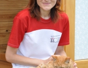 017.zajmujemy sie rowniez chorymi i niesprawnymi kotkami w Hotelu