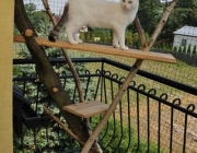 zabezpieczony balkon 3